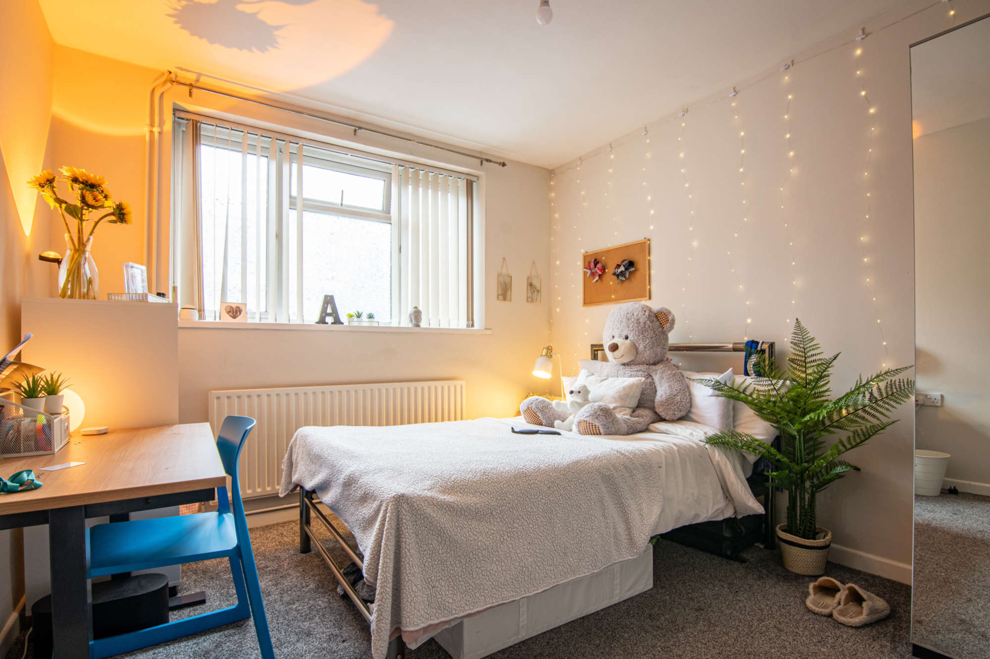 Ground floor bedroom