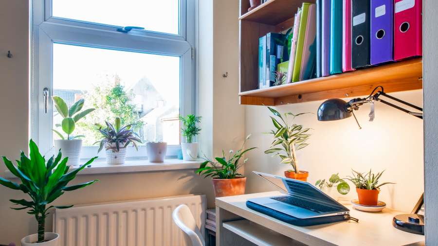 John Winter Student Houses - 6 bedroom house on Richards Street